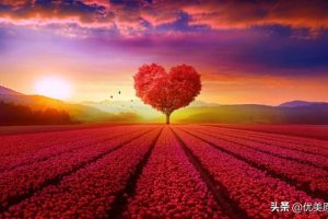 你在远方，也在心上，感恩一路上有你姐姐_我们认识多长时间了呢？