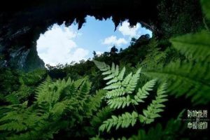 跟着法布尔老师走进有趣的昆虫世界