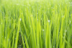 儿童性教育启蒙越早越好，这四部优秀作品一定要陪孩子一起看