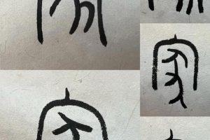 [芝麻学社]ahashool方圆数学-小学数学同步动漫课程