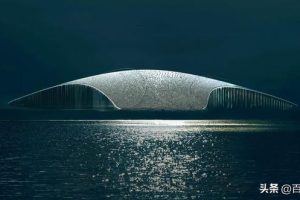 挪威观鲸文化中心，来了一位“新朋友”