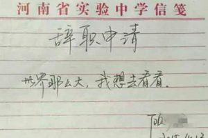 顾少强世界那么大，我想去看看，任性辞职看完后生活一地鸡毛