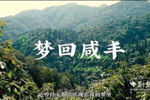 第一届“美丽乡愁”短视频大赛落幕_大学生以镜头为家乡代言