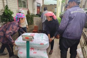 中药材种植成红土坡镇群众的“致富良方