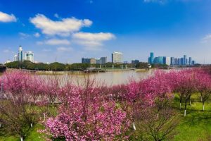 千课一面的破解之道——陌生化