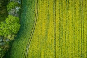故乡山川｜王浩瑞《我爱家乡的田野》