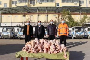 天寒送温暖，环卫工人收到爱心鸡