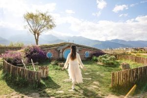 基于作物多样化种植的可持续食物生产系统创新集成与应用