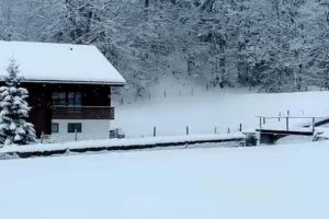 小品文｜和合与追求、天赋与优点、顺应与附和