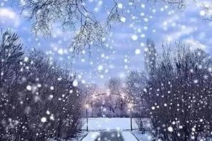 四上数学_公顷和平方千米（第2课时）_逐字稿