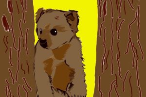 童话小熊变身记还是做小熊最好